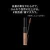 KATE BR-1 3D Eyebrow Color Z
