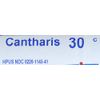 Boiron - Cantharis - 30C (80 pellet)