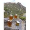 APIS Bee Venom Ointment 30mL EXTRA POTENCY
