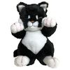 zyori-manma Black Cat