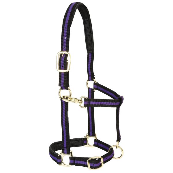 Weaver Leather Padded Adjustable Nylon Horse Halter, Purple, 1" Large Horse