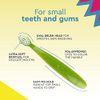 RADIUS Totz Toothbrush Extra Soft Brush BPA Free & ADA Accepted Designed for Delicate Teeth & Gums for Children 18 Months & Up - Blue Coral Yellow - Pack of 3