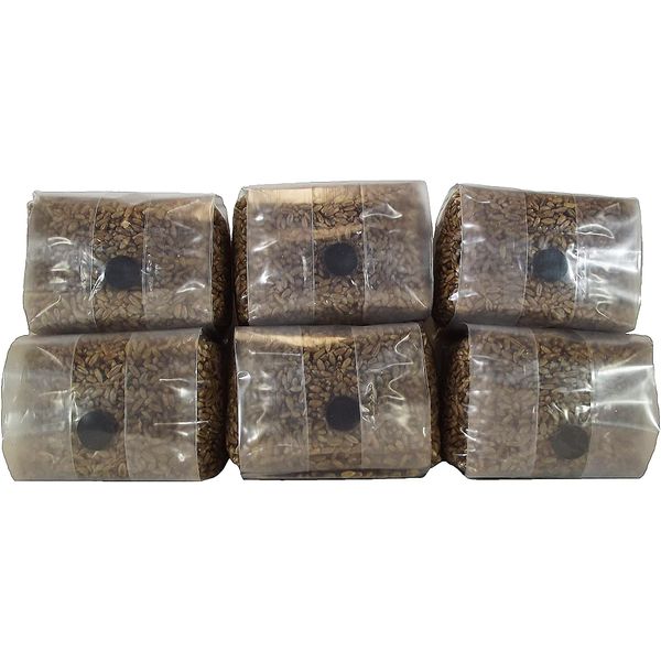 Sterilized Rye Berry Mushroom Substrate with Self Healing Injection Port (6)