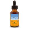 Herb Pharm, Certified Organic Spilanthes Liquid Extract, 1 Ounce