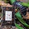 bugznbits Premium Millipede, Beetle & Woodlice Substrate (12 Litre)