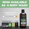 Premium Tea Tree Oil Soap - USA Made Bar Soap for BJJ, Jiu Jitsu, Wrestling, and Grappling (2-Pack of 4 Ounce Soap Bars, Classic Tea Tree)