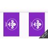 Scouts Purple Bunting (30 flags) 9m
