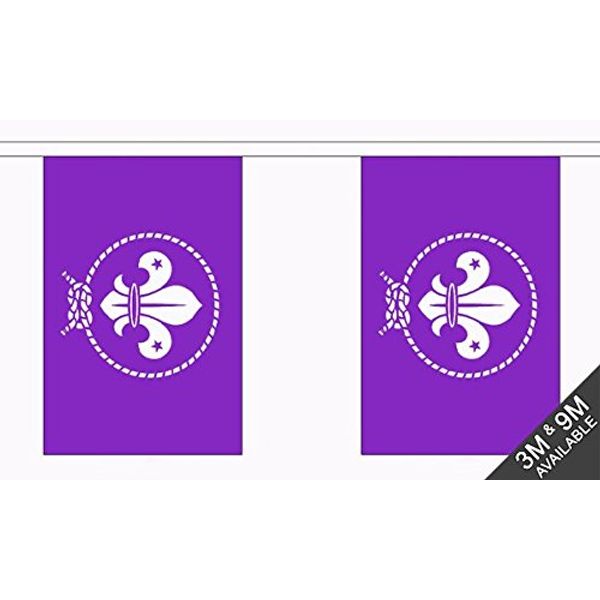 Scouts Purple Bunting (30 flags) 9m