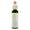 Clematis 20 ml Liquid