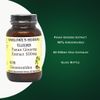Panax Ginseng Extract | 80% Ginsenosides | 500mg | 60 Veggie Capsules