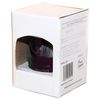 30036 Fairytale Cinderella Snow Globe 65 mm