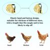 UKJENT Chicken Saddle for Hens, 3-Pack, Chicken Apron Back Protector for Hens, Adjustable Strap Hen Apron