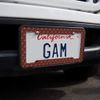 GRAPHICS & MORE Dragon Scales Pattern License Plate Tag Frame