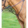 Shires Aviemore Hunt Weight Breastplate-Black Cob