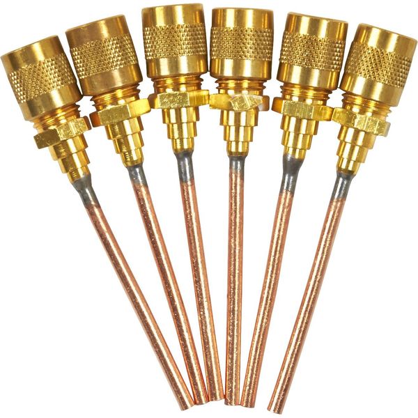 C and D Valve CD8408 Cap and Valve Core, 6-Pack