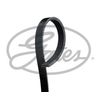 GATES GAT4PK750 V-Ribbed Belt OE REPLACEMENT