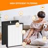 AP-B102 True HEPA Replacement Filter Set Compatible with Alexapure Breeze...