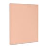 3dRose, Blush Pink, Museum Grade Canvas Wrap 16x20