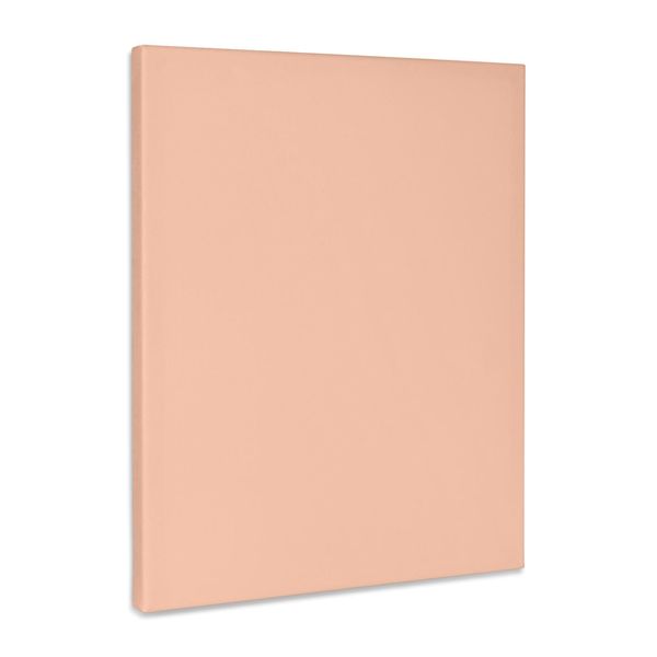3dRose, Blush Pink, Museum Grade Canvas Wrap 16x20