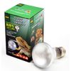Zensui Strong Basking Spot Lamp 40W