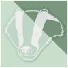 Small 100mm 'Badger Face' Clear Static Window Cling Sticker/Decal (White) (WC00012511)
