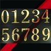 ZW Hardware A100 4 Inch Bright Brass House Number 5