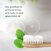 Jade Bloom, Aloe Toothpaste, Plastic 100ml Tube, Spearmint