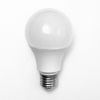 Gamma Clarity 40Hz Meditation Light Bulb