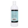 Hand & Body Foam Soap Fresh Mint 16oz Refill