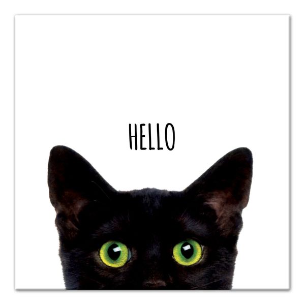 Creative Products Curious Hello Black Cat 20 x 20 Canvas Wall Art