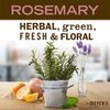 Mrs. Meyer's Hand Soap, Made with Essential Oils, Biodegradable Formula, Rosemary, 12.5 fl. oz - Pack of 6