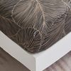 Jemiipee Single Fitted Sheet Brown Tropical Leaves Pattern, 30 cm Deep Pocket, Soft Microfiber Botanical Fitted Bed Sheets