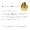 Kawada Okomeiro Diamond Block S ND-03