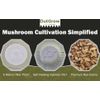 Rye Berry Grain Spawn Jars | Fully Sterilized | 12-Pack of Jars