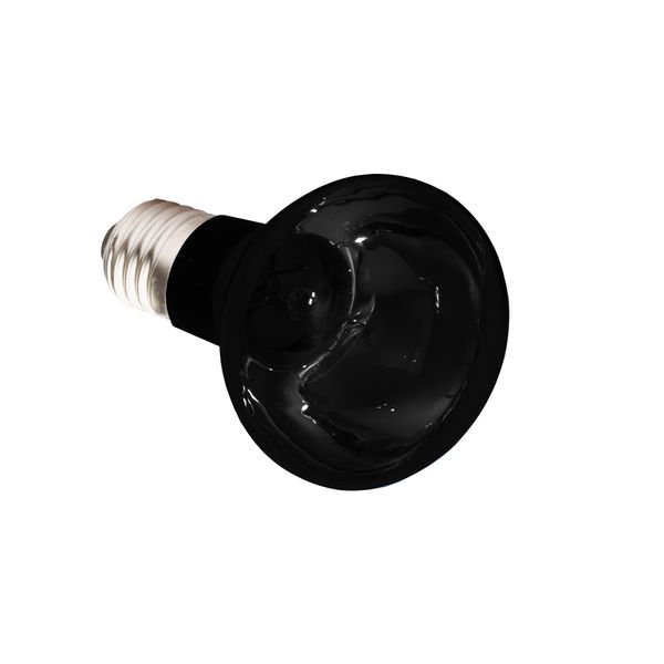Komodo Nightglow Spot Lamp ES, 75 Watt