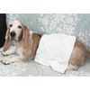 Cambrian Yang Pyrethrum Pet Bathing Agent doggubasu Powder Type 14 Bao Rosemary