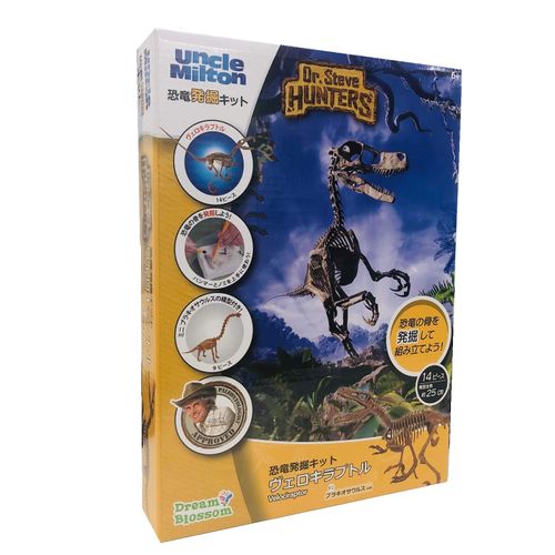 Dinosaur Excavation Kit Velociraptor Japanese Package