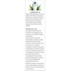 Aloe Cadabra Natural Water Based Personal Lube, Organic Lubricant for Her, Him & Couples, Pina Colada, 2.5 oz (Pack of 5)