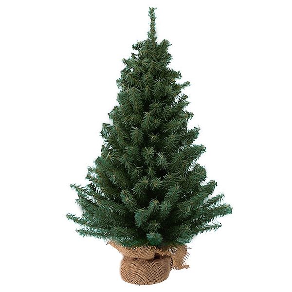Kurt Adler 12 Miniature Pine Tree