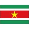 5FT X 3FT SURINAME NATIONAL FLAG
