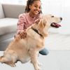 GLIDESMOOTH Dog Cooling Mat, Portable Pets Cool Mat, Durable Machine Washable Pets Pad, X-Large, Grey