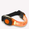 Gato Neon LED Arm Light