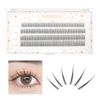 LASHIDOL Partial False Eyelashes, Eyelashes, Natural, Popular, DIY False Eyelashes, Easy, 0.4 - 0.5 inches (9 - 12 mm) Orchid, A-Shaped False Eyelashes Set, Black