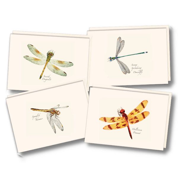 Earth Sky + Water - Dragonfly & Damselfly Assortment II Notecard Set - 8 Blank Cards with Envelopes (2 each of 4 styles)