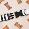 Large 'Barn on a Farm' Dog Collar (PR00055334)