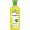 Birken Haarwasser Original Hagners, 500 ml Lösung