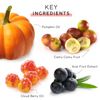 MyChelle Dermaceuticals Pumpkin Renew Cream (1.2 Fl Oz) - Daily Face Moisturizer with Pumpkin Seed Oil, Cloudberry Extract & Antioxidants - Moisturizes, Nourishes & Strengthens Skin