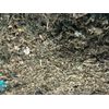 Marshmallow + Raspberry Leaf Organic Medicinal Healing Herbal Tea Mix 1 lb POUND