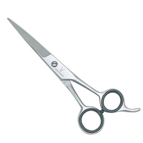 CAPRA-FALCONERI Professional Hairdressing Scissors 6.5"" with Comfortable Handle - High Carbon Steel - Super Cut Sharp Blades - for Salon or Barber Use, Silver, cf-bt-125