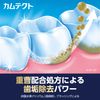 Kamtec Premium Gum Care (Quasi-Drug), Toothpaste, Periodontal Disease (Gingivitis, Pyorrhea), Prevention, 3.7 oz (105 g), 2 Bottles + Toothbrush Included